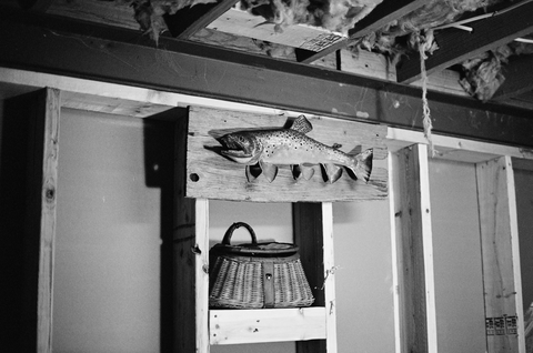 Taxidermied fish mounted on an unfinished basement wall